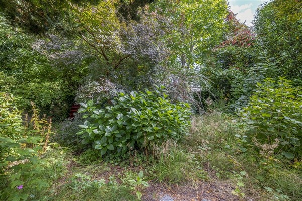 Medium property photo - Sportterreinstraat 10, 9648 CB Wildervank